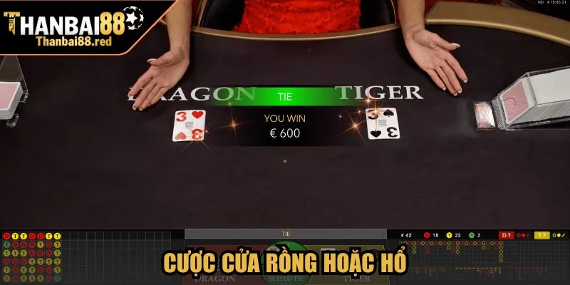 Cách Chơi Rồng Hổ Thanbai88 Tối Ưu Với Hướng Dẫn Cụ Thể 3 Cược cửa Rồng hoặc Hổ
