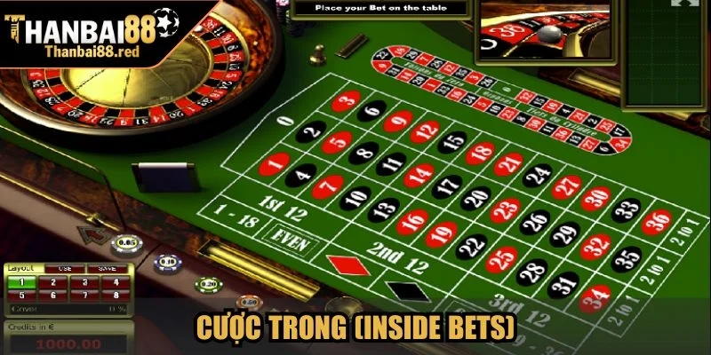 Cược trong (Inside Bets)