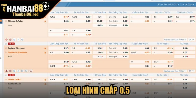 Loại hình chấp 0.5 (nửa trái)